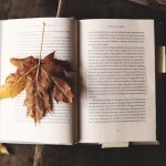 11 livres jeunesse et d’occasion pour l’automne